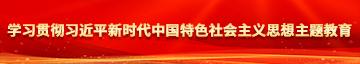 性会爆汁男同兔女郎苹果官网学习贯彻习近平新时代中国特色社会主义思想主题教育